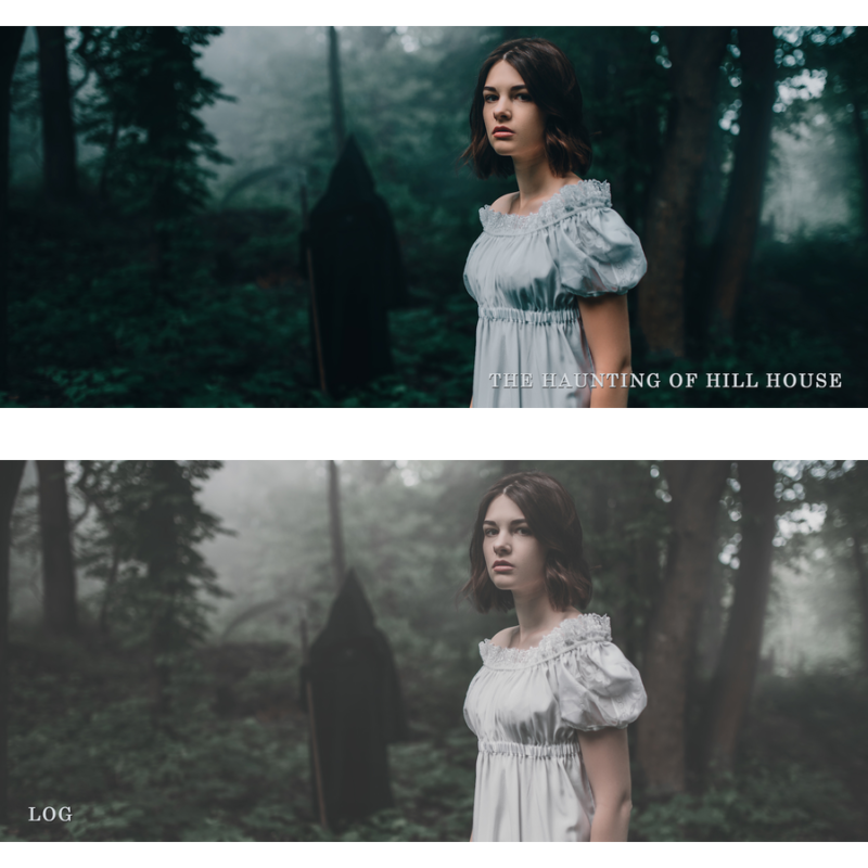 Pack de Presets HORROR LUTS V2 Lightroom OrbitaPixel