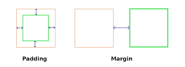 Margin vs Padding - Frontend Shortcut - Medium