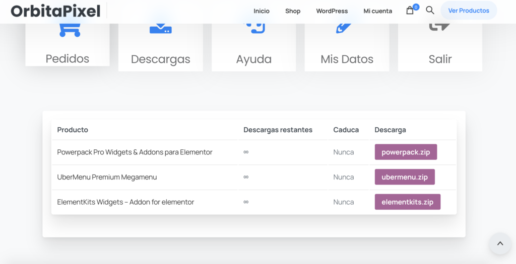 Cómo Actualizar Temas y Plugins en WordPress 2022